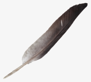 Brush Vector Feather - Drawing
