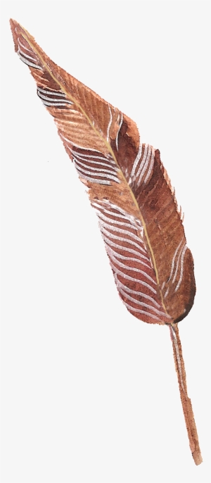 Zongbai Feather Transparent Decorative - Portable Network Graphics