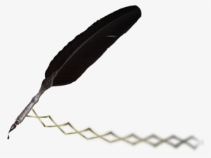 I Am Sorry - Plastic