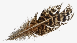 For Availability And Stockists Of My Work Please Email - Ruffed Grouse