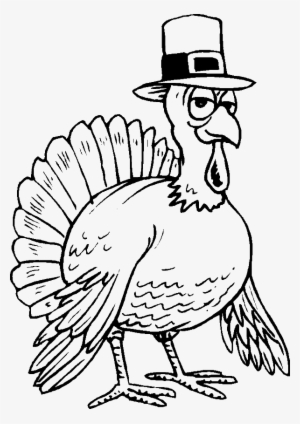 Animals Coloring Pages • Page 11 Of 17 • Got Coloring - Pilgrim Turkey Coloring Pages