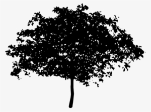 Tree Silhouette Clip Art At Clker