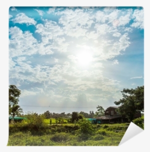 Shining Sun With Lens Flare - Grass