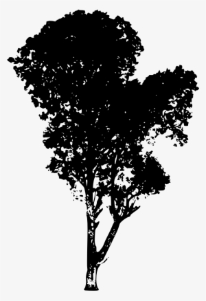 Tree Vector Png Download - Tree Silhouette Transparent Png