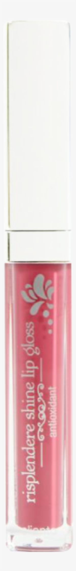 Lip Gloss