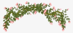 Rosas Rojas Png