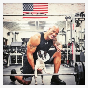 Dwayne Johnsons Pic In Gym