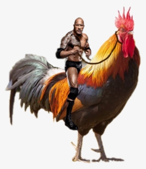 Ftestickers Freetoedit Dwaynejohnson Dwayne Johnsonfree - You Ve Heard Of Elf On The Shelf Meme