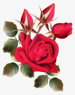 Image Du Blog Zezete2 - Fresh Rose Flowers Png