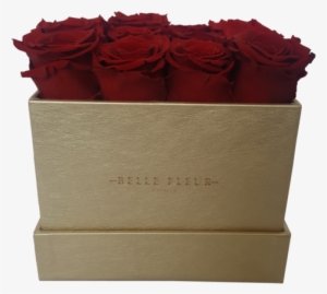 El Contexto Es Todo - Box