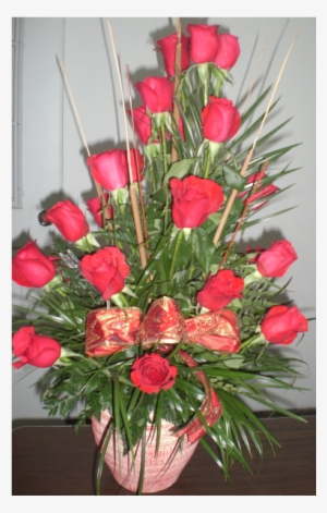 18 Rosas Rojas - Rose