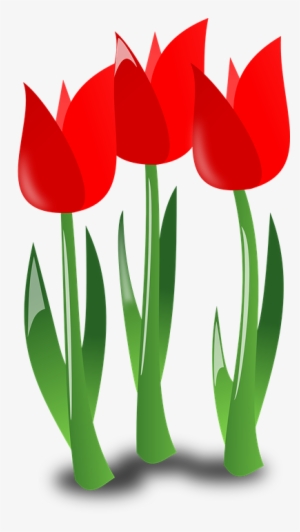 *ver Y Descargar 30 Flores Y Rosas Rojas Gratis Para - Mothers Day Flowers Clipart