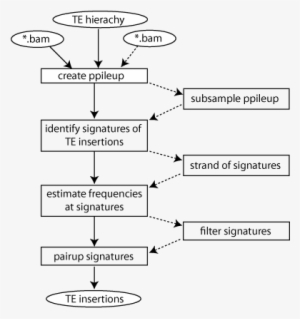 Popte2 Flow - Diagram