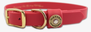 Dog Collar Png Images Hd - Belt