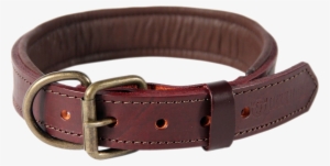 Dog Collar Png - Dog Collar