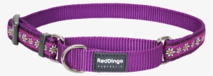 Dog Collar Png - Red Dingo Daisy Chain Purple Large Martingale Collar