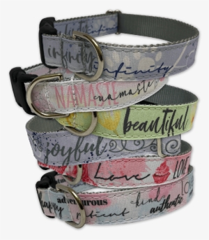 Shop Collars & Leashes - Belt