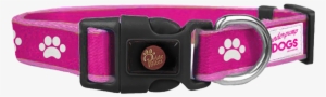 Vanderpump Dogs Collar