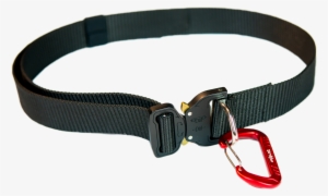 Cobra Clip Dog Collar Vector Library Download - Macramé