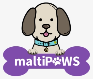 Maltipaws - Dog