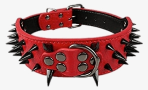 Miscellaneous - Spike Collars For Dogs