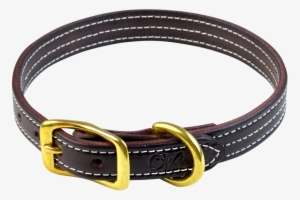 Dog Collar