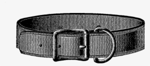 Dog Collar 1262png-1024x525 - Digital Stamp