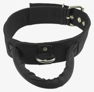 2" Poly Web Collar With Handle - Dog Collar With Handle