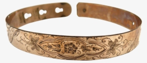 Victorian Copper Pet Beulah Toy Dog Cat - Collar Transparent Background