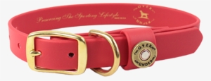 Water Dog Collar Red - Dog Collar