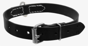 Center D Ring Collar