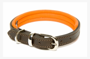 Dogs & Horses Colours Luxury Leather Dog Collar Orange - Leather Padded Top Dog Collars