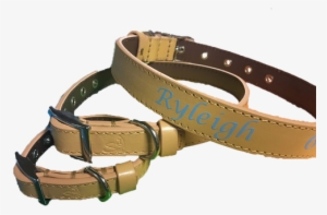 The Name On The Collar Will Be In All Caps - Belt