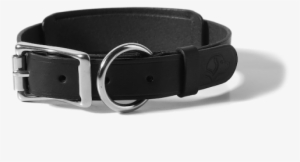 Dog Collar - Black - Voyej - Leather Goods