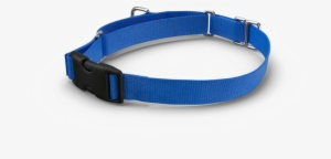 Dog Collar Png Pic - Dog Collar Png