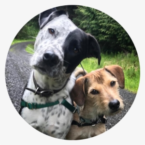 Flynn&jack-circular - Portable Network Graphics