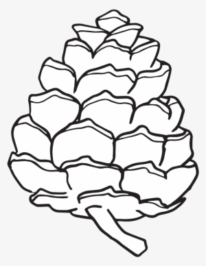 Pinecone Cliparts Cliparts Zone Pine Cone - Simple Pine Cone Drawing