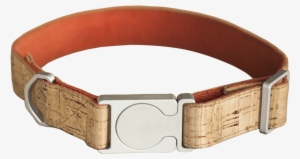 Buckle