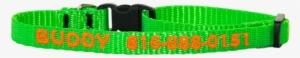 Three Eighths Inch Personalized Dog Collar - Dog Collar