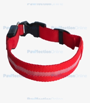 The Durable Nylon Red Led Dog Collar Is Part Of The - Dog Collar