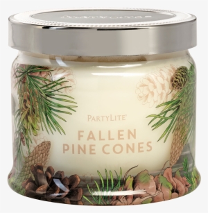 Partylite Fallen Pine Cones