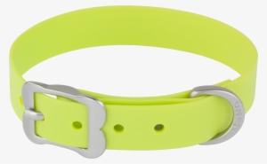 Product Codes - Red Dingo Vivid Pvc Dog Collar, Large, Lime