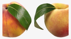 Peaches Png Clipart Picture Gallery Yopriceville High - Peach