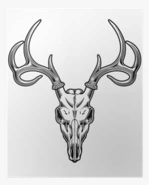 Deer Skull Png For Kids - Drawing Of A Deer Skull