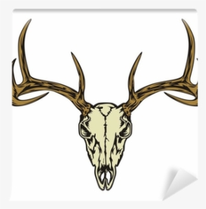 Deer Skull