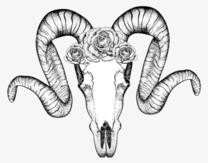 Report Abuse - Zentangle Ram Skulls