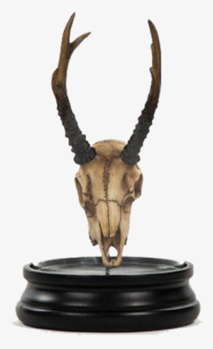 Deer Skull Statue With Cover, White, Artwork,polyresin,