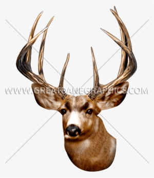 Wildlife - Big Face Deer Head Portrait Sweater