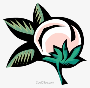 Cotton Plant Royalty Free Vector Clip Art Illustration - Cotton Plant Cotton Clip Art