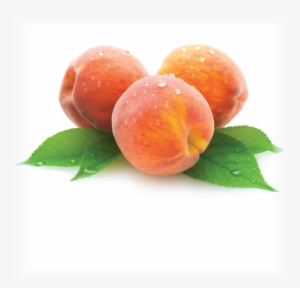 Peach - Peachbottompanties Custom Listing For James